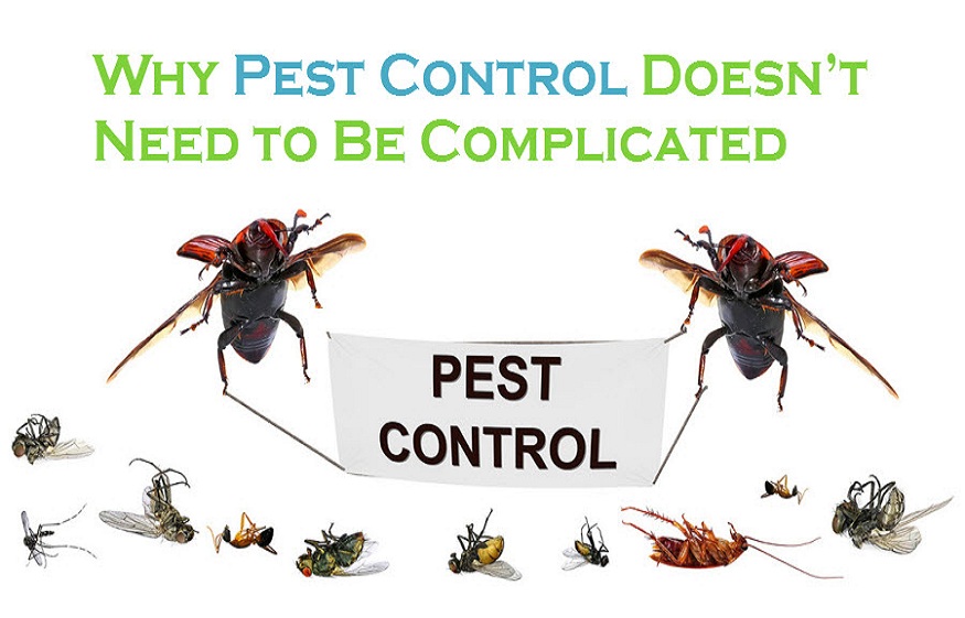 pest control is the need