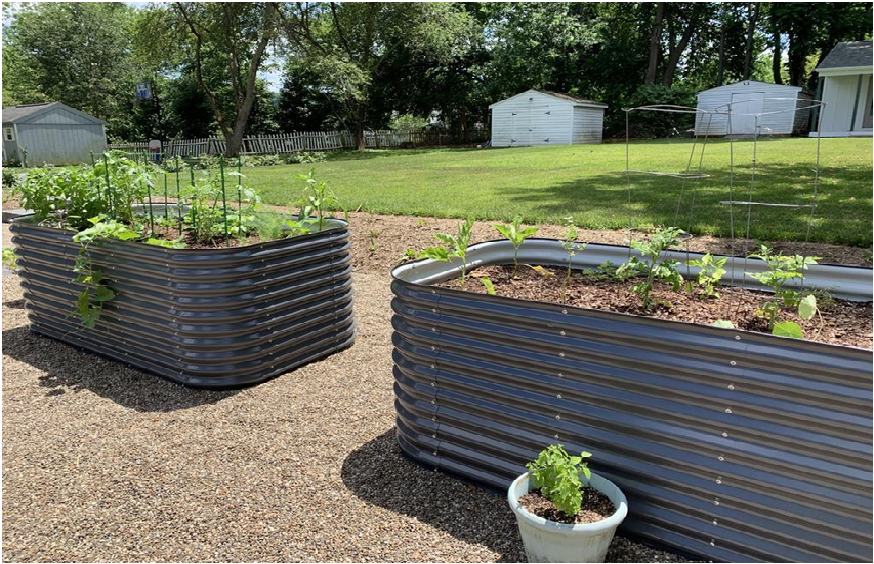 ground garden boxes